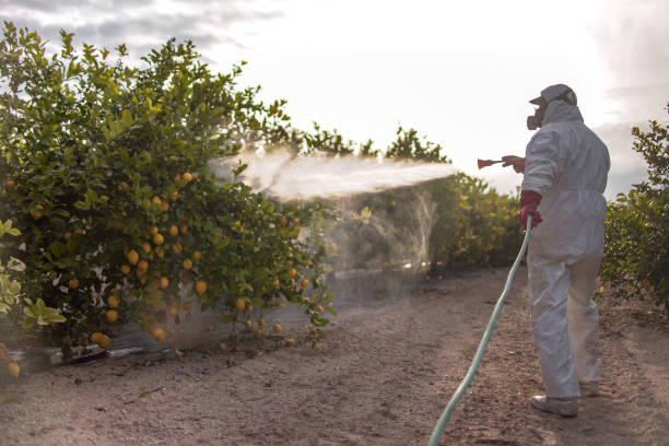 Best Pest Inspection Near Me  in Raton, NM