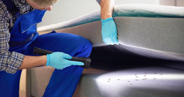 Best Cockroach Control Services  in Raton, NM