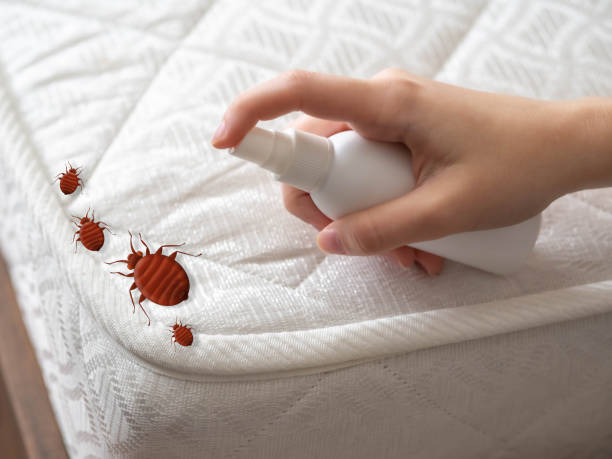 Best Commercial Pest Control Services  in Raton, NM