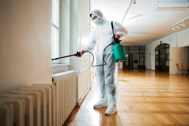 Best Flea Control Services  in Raton, NM