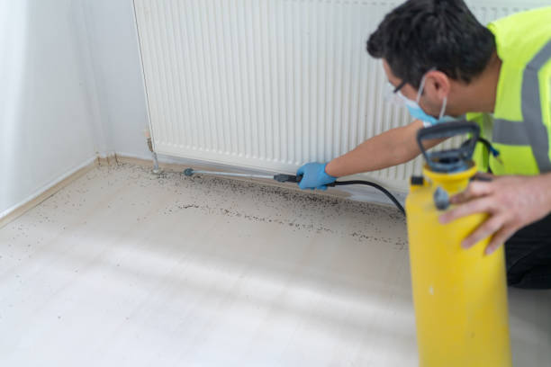 Best Residential Pest Control  in Raton, NM