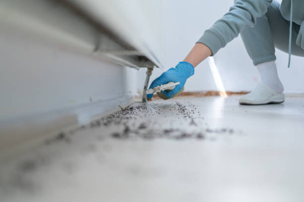 Trusted Raton, NM Pest Control Experts